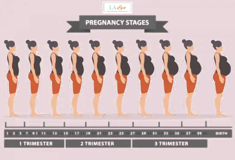 First Trimester (Weeks 1–12): Early Changes You Might Not Notice Andover